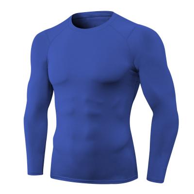 China New Fashion Anti-Static Men's Long Sleeve Compression Base Layer Running Gym T-Shirt for sale