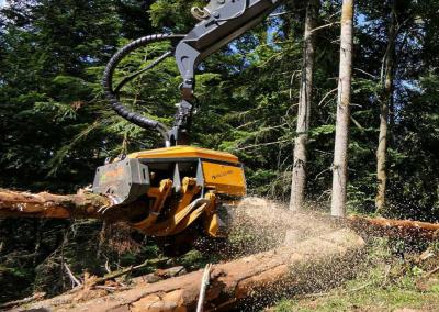 Chine Grandes moissonneuses d'arbres Excavateur Coupeuse d'arbres pour la ferme forestière à vendre