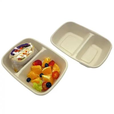 China Disposable Bagasse Lunch Box 2/3/4 Compartment  Takeaway Biodegradable Food Packaging disposable for sale