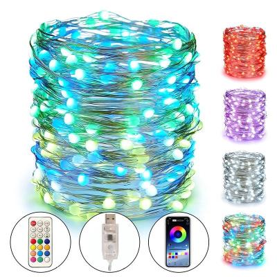 China Outdoor Accessible Blue Led Globe Pixel String Light Smart Garden Waterproof Christmas Snowflake Net Curtain String Lights for sale