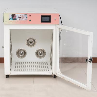 China Cat Dry Automatic Dog Dryer Dryer Machine Pet Grooming Hair Dryer Machine Room Equipment Room Box for sale