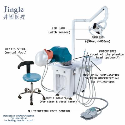 China manikin dental phantom head dental simulator for practice dental phantom head dental simulator JG-A2 for sale