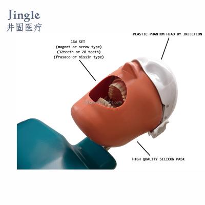 China manikin dental phantom head dental simulator for practice dental phantom head dental simulator JG-A2 for sale