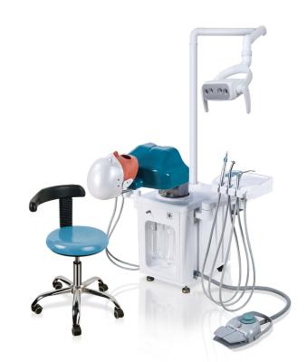 China manikin dental phantom head dental simulator for practice dental phantom head dental simulator JG-A2 for sale