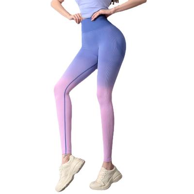 China Gradient Color High Waist QUICK DRY Women's Buttocks Peach Sports Gaiters Energy Sportswear Quick-Drying Yoga Sports Running Pants for sale