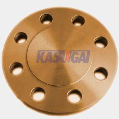 China <p>BL Flange ciego de cara plana ASTM B151 C71500 Accesorios para tuberías de cobre y níquel</p> en venta