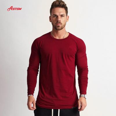 China New Autumn And Winter Lightweight Longsleeve Breathable Fitnees Soild Gym Color Quick Dry Muscle Training Mens Clothes T-Shirt For Man for sale