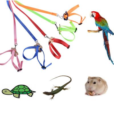 China Large Viable Durable Adjustable Bird Leash Parrot Training Harness Parrot Traction Rope Leash for sale