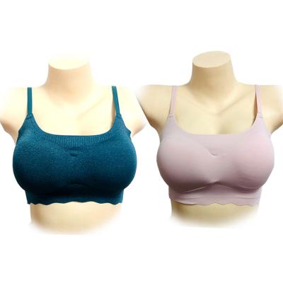 China Wireless Breathable Ladies Plus Size Seamless Sports High Print Women Bra With Pad And Adjustable Straps for sale