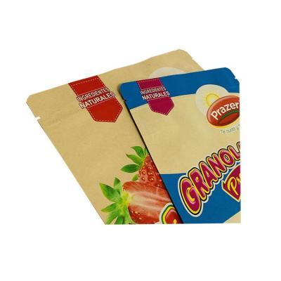 China New Custom Logo Recyclable Moistureproof Moisture Proof Dry Bags Packaging Kraft Paper Large Capacity Pouches for sale