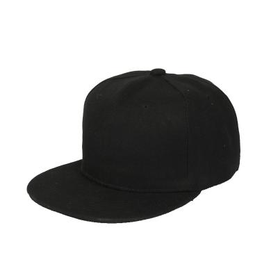 China JOINT Embroidery Printing Logo Wholesale Custom Snapback Hats Men Women Hat for sale