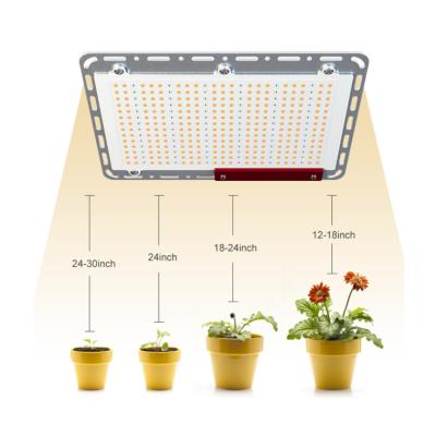 China Seed Starting Ronbo Sunrise 220W Greenhouse Full Spectrum LED Panel Grow Light Dimmable For Indoor Plant for sale