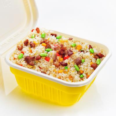 China Microwavable Disposable Square Lunch Box Plastic Food Container Set for sale