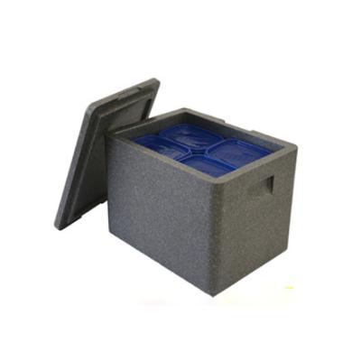 China 100% 2019 Eco-Friendly Shipping PPE Eco-Friendly Insulated Foam Big Cooler Box for sale