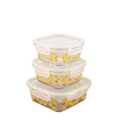 China Hot New Design High Freshness Keeping Lemon & Lid Decal Borosilicate Glass Food Storage Container Set Light Green Plastic Lunch Box for sale