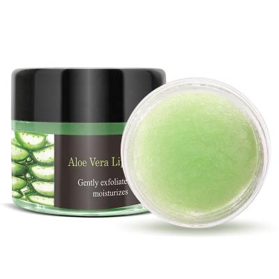 China Convenient Private Label OEM ODM Natural Lip Sugar Scrub Aloe Vera Lip Scrub Exfoliate Moisturizing Lip Care for sale