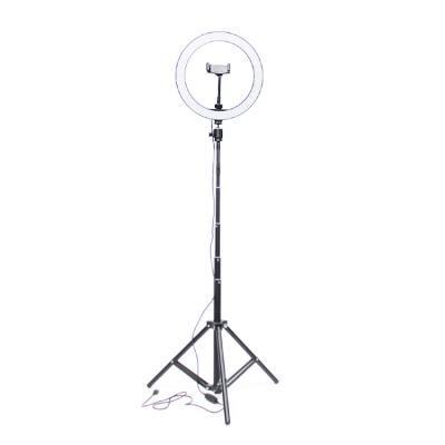 China 2020 Newest MASSA 10 Inch Makeup Live Stream Led Selfie Ring Light With Tripod Stand M-10 for sale