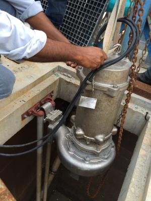 Chine Tension centrifuge submersible de l'effluent 460 de pompe à eau d'égout d'irrigation de ferme à vendre