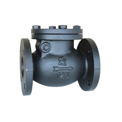 China General 125LBS 150lbs Swing Check Valve Valves Check Water Meter for sale