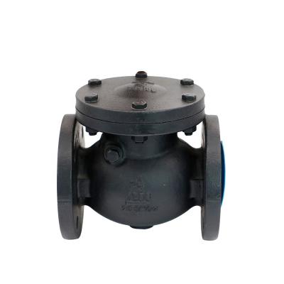 China General 6 Inch DN80 ANSI Water Cast Iron Flanged Swing Check Valve Price for sale