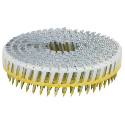 China 2.5*50mm Diamond Point Screw Shank Plastic Coil Nails With Electro Galvanised for sale