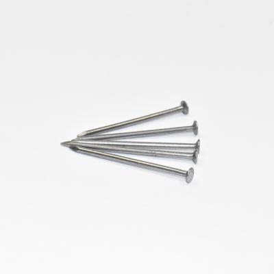 China 2'' Smooth Shank Flat Head Galvanized Steel Nail Galvanized Concrete Nails for sale