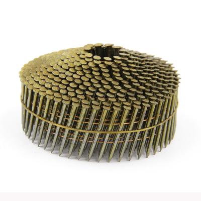 Cina Mexico factory high quality 15 degree wire coil nails Screw Ring Smooth shank pallet coil nails in vendita