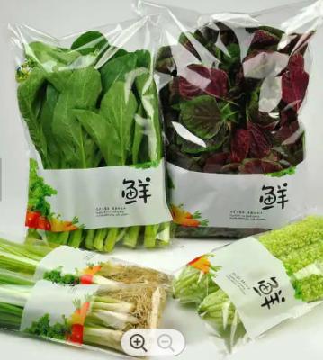 中国 打ち抜かれるプラスチック マイクロが友好的なEcoを袋に入れる野菜は防水する 販売のため