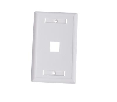 China Trapezoidal Type RJ45 Wall Mount RJ45 Jack Modular Socket Panel White RJ45 USA Left Faceplate 118x70mm USA 1 for sale