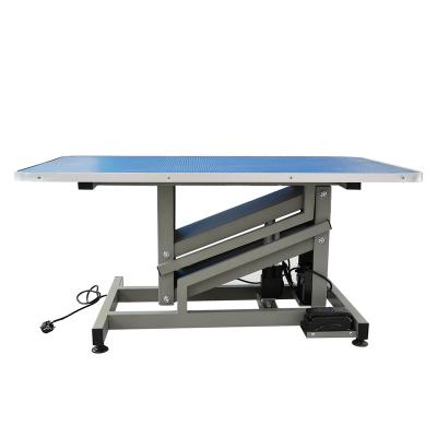 China Professional Factory Price Dog Grooming Table Viable Electric Lifting Dog Grooming Table for sale