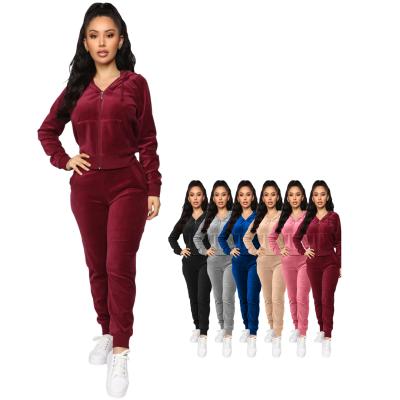 China Breathable Women's Soft Velvet Tracksuit 2 Piece Set Ladies Hoodie And Pants Sweatsuit Velvet Gym Sports Tracksuit Sweat Sets for sale