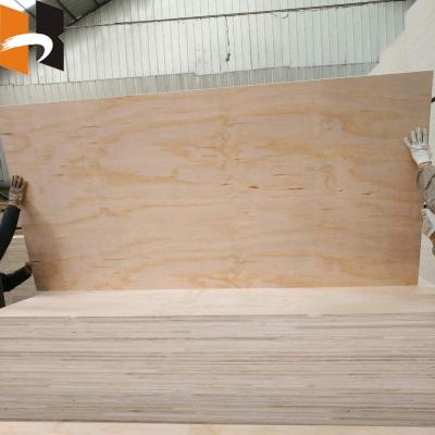 China Modern Cheap Used Laminated Pine 4x8 Joint Formwork Panel And Finger Plywood Board for sale