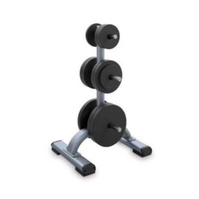 China ADS-027 Weight Plate Tree Weight Stack Storage Indoor Gym Equipment for sale