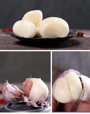 China Garlic Garlic Fresh White Fresh Garlic Pickled Garlic Food Garlic for sale