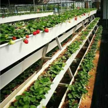 China PVC Agriculture Indoor Hydroponics System Tomato Strawberry Growing Gutter for sale