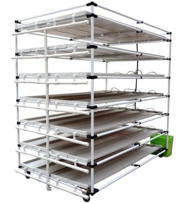 China Greenhouse seedling growing vertical hydroponic microgreen trays grow system for sale