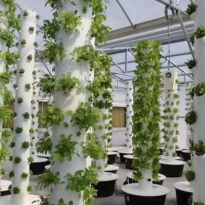 China Eco Friendly NFT Vertical Hydroponic Tower For Greenhouse Growing System for sale