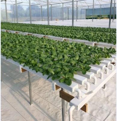 China PLASTIC farm planting and greenhouse nft hydroponic channel for sale