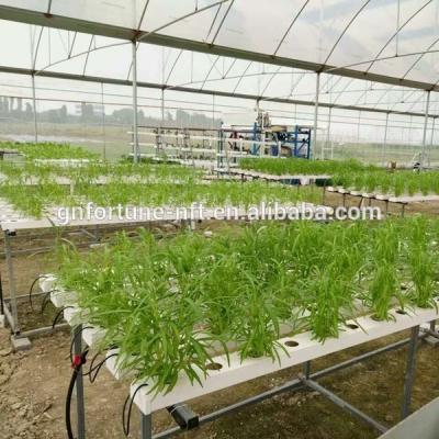 China Agriculture Planting Greenhouses Porcelain Industrial Exhaust Fans Tunnel Greenhouse for sale