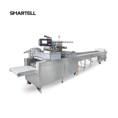 China Medical Model Automatic 480 Syringe Blister Packing Machine for sale