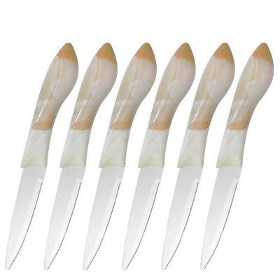 China Kitchen Cutting Foods Kitchen Knives Set 6pcs Paring Knives Set Stainless Steel PP Handle With Coating for sale