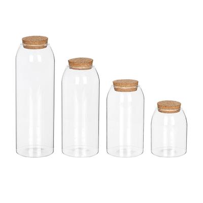 China Sustainable Kitchen Use Food Storage Container Borosilicate Glass Storage Bottle Fashionable Top Jar With Cork Lid for sale