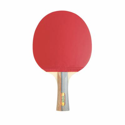 China Plastic Cheap Training Ping Pong Racket Plywood & Rubber & ABS Price Training Ping Pong Racket Sports for sale