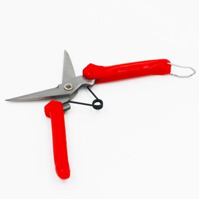 China Professional Plastic Garden Pruning Handle Sharp Shears Straight Blade Garden Trimming Scissors for sale