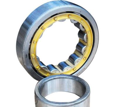 China Hotels Factory Direct Supply Custom High Precision Steel Cylindrical Roller Bearings for sale