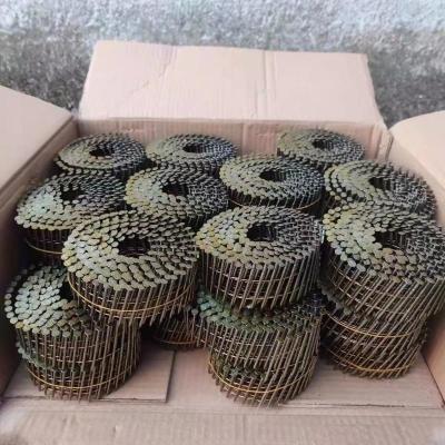 China Fasto Flat Hot Sale 15 Degree Ring Screw Shank Round Head Smooth Coil Framing Nail For Pallet for sale