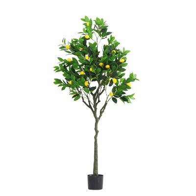 China Plastic Artificial Indoor Decoration Pieces Lemon Tree Plant Pot Lemon Tree Plant Tree Green Plant Bonsai for sale