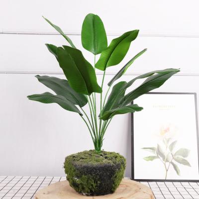 China Plastic simulation of the interior decoration of small banana leaf banana leaf pot potted green plant ornaments flower decoration with leaves for sale