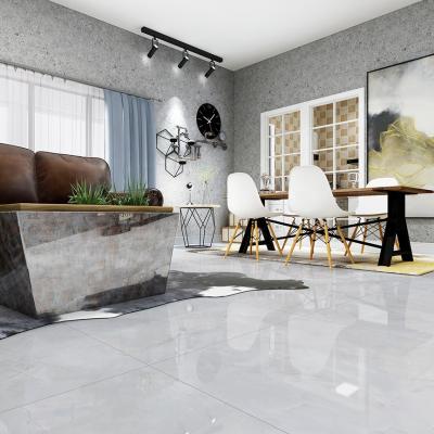 China RAFFO Modern Gray 60X60 Glazed Floor House Bathroom Tiles Design for sale