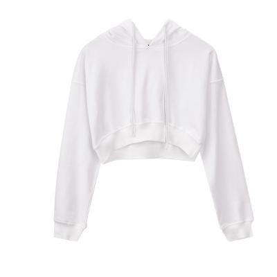 China Anti-wrinkle custom women crop top hoodies printing label cotton girls cropped hoodie plus size fashion ladies outfit sports sweaters for sale